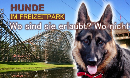 Mit dem Hund in den Freizeitpark… wo ist´s erlaubt?