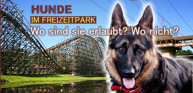 Mit dem Hund in den Freizeitpark… wo ist´s erlaubt?