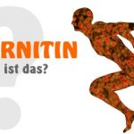 L-Carnitin… was ist das und wozu braucht man das?
