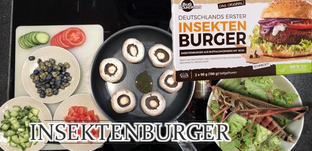 Der INSEKTEN-Burger – Protein-Food-Deluxe